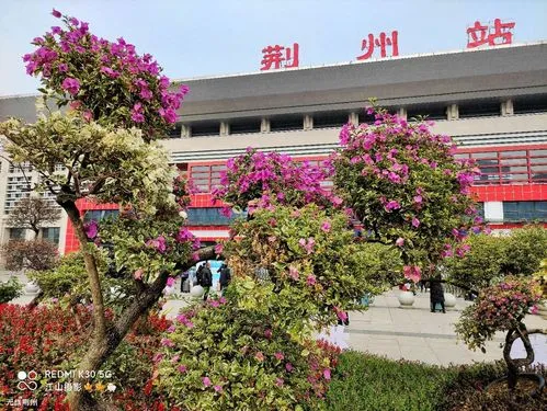西安到荊州物流專線公司/2025